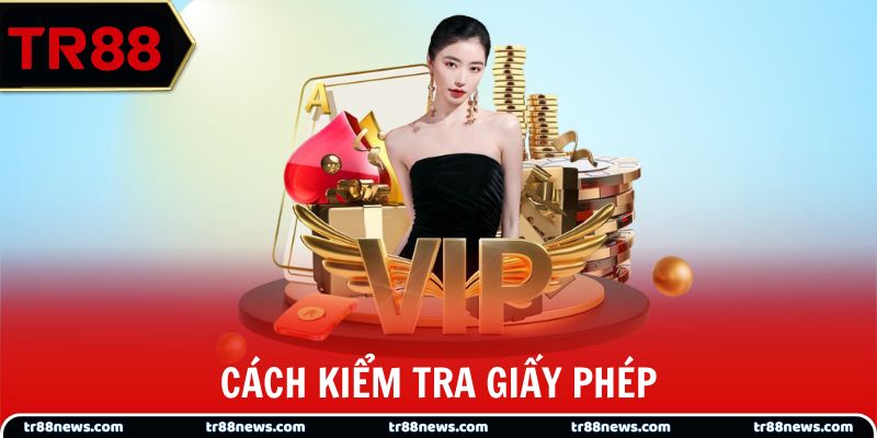 Cách kiểm tra giấy phép