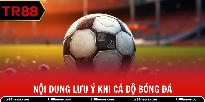 Nội dung lưu ý khi cá độ bóng đá